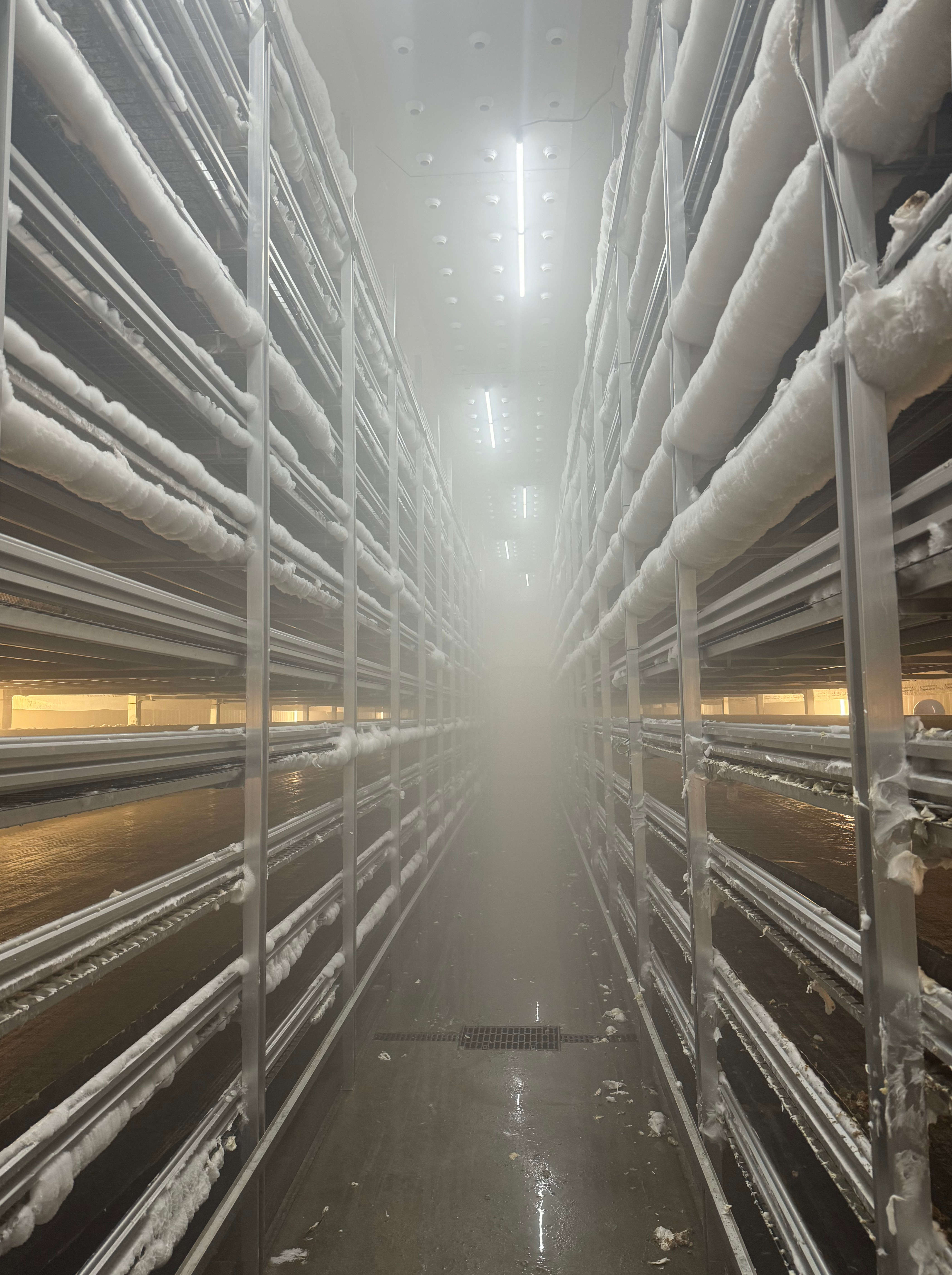 Control Systems for Scale Mycelium Production